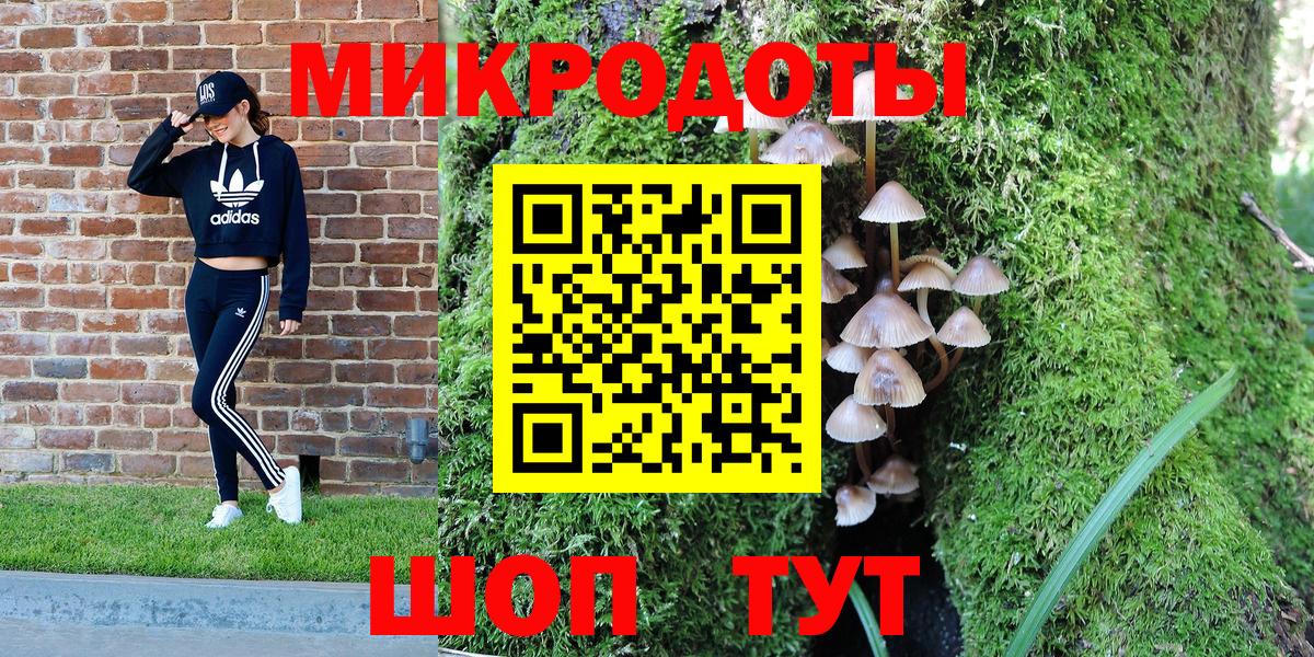 Кимовск  Псилоцибиновые грибы Magic Shrooms  сколько стоит  Вход с VPN  Галлюциногенные грибы мухоморы 